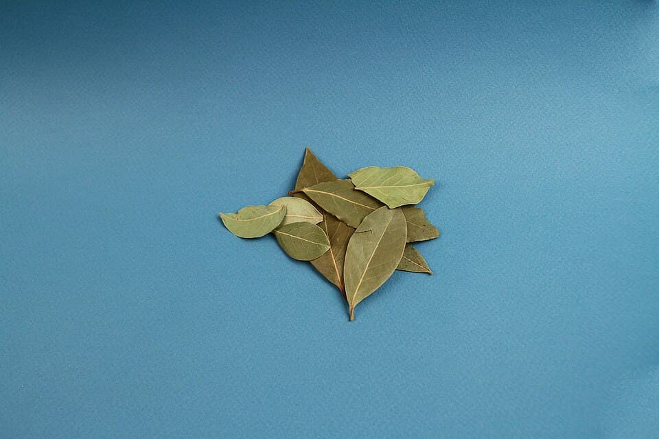 Tamalpatra / Bay Leaves